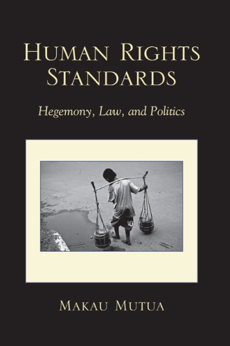 Human rights standards : hegemony, law, and politics